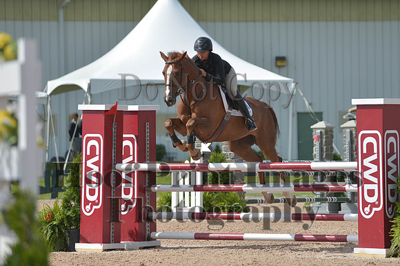 BRSa(5-17-14)HChAdJ0079