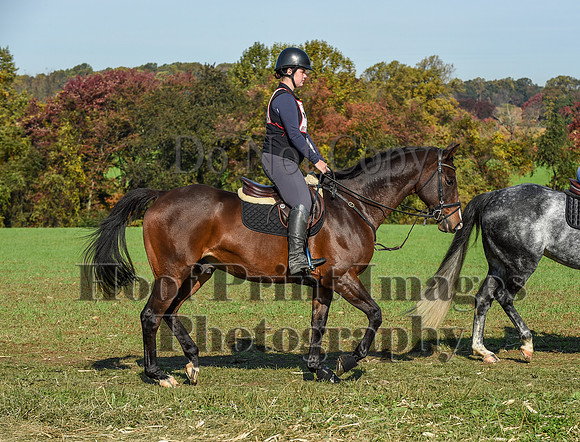 CheshirePC(10-18-20)0174