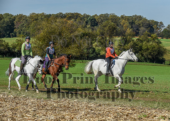 CheshirePC(10-18-20)0571