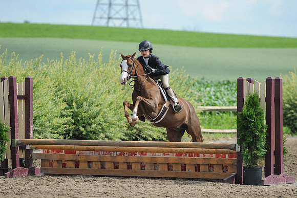 SC(6-28-14)SMPony0007