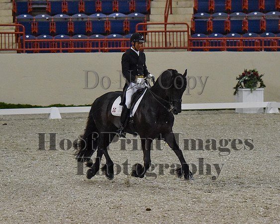 CWdressageII(8-21-16)0600