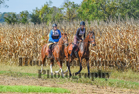 CheshirePonyClubPC(10-6-24)0556