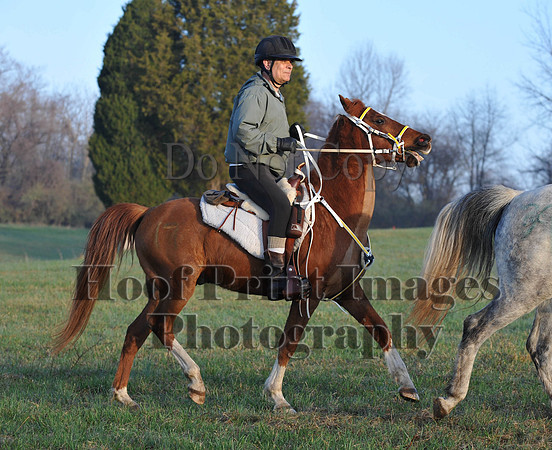 Foxcatcher(4-12-14)0316