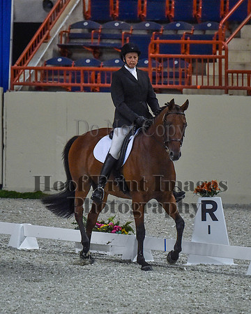 CWdressageII(8-21-16)1028