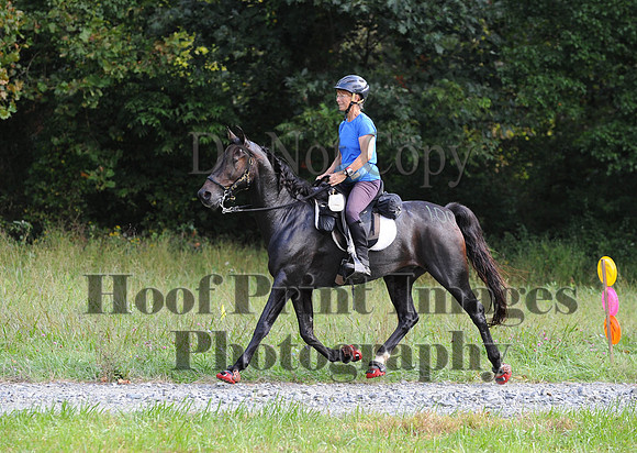 ChesapeakeCTR(9-20-14)0338