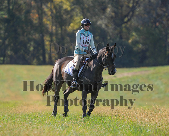 Cheshire(10-20-13)0672