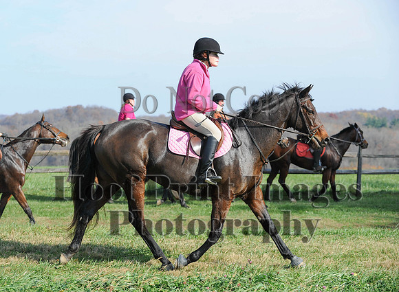 AndrewsBr(11-9-14)0190