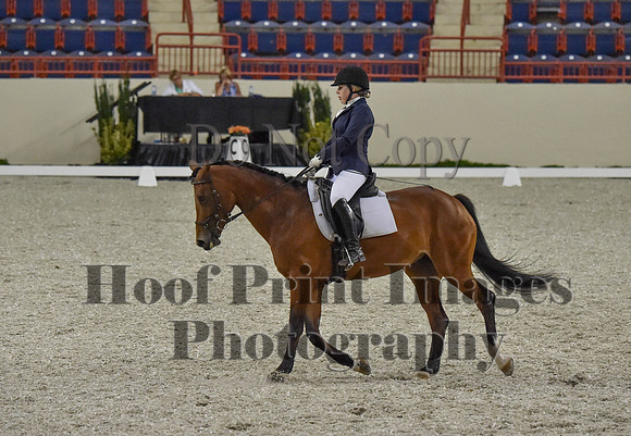 CWdressageI(8-20-16)0389