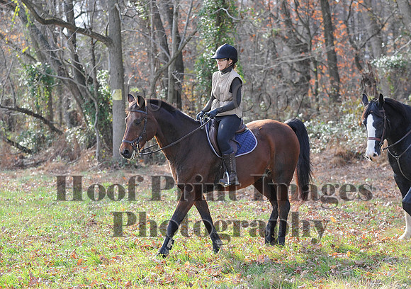 AndrewsBr(11-9-14)0578