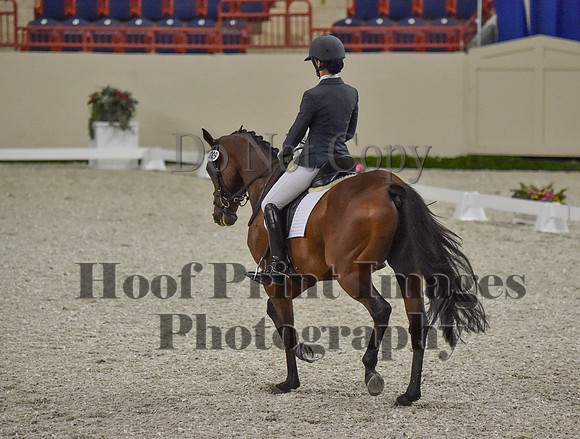 CWdressageI(8-20-16)0343