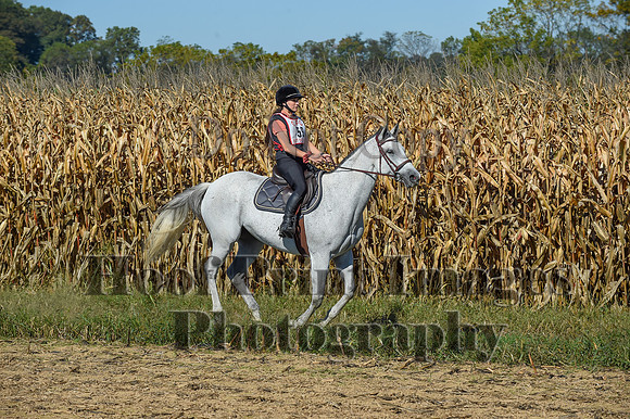 CheshirePonyClubPC(10-6-24)0156