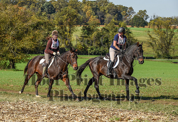 CheshirePC(10-18-20)0549