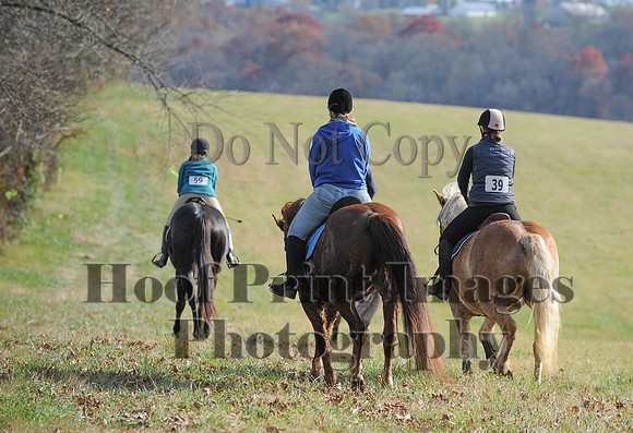 AndrewsBr(11-9-14)0567