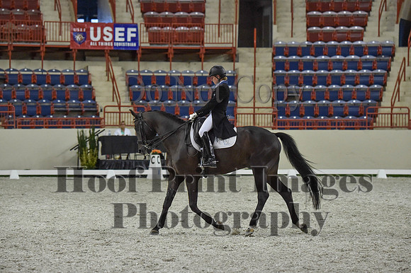 CWdressageI(8-20-16)1469