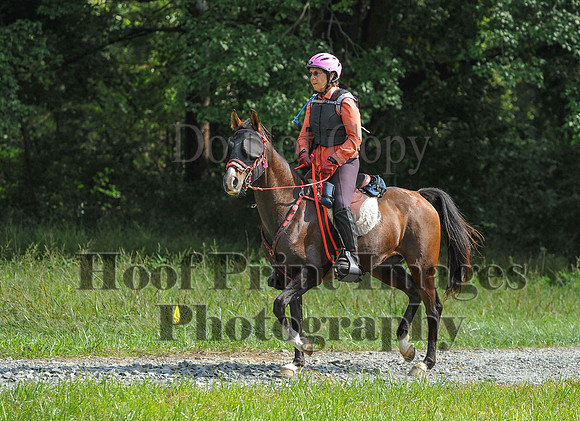 ChesapeakeCTR(9-20-14)0548