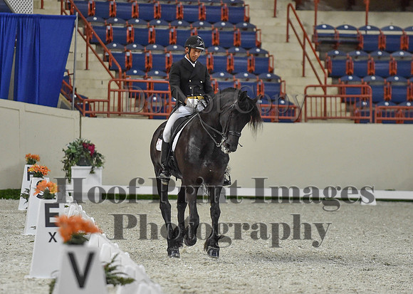 CWdressageI(8-20-16)1654