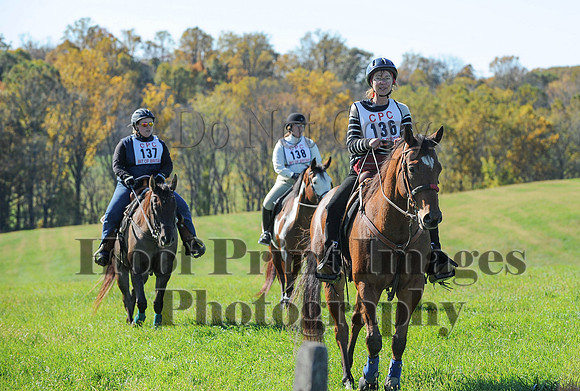 Cheshire(10-19-14)0286