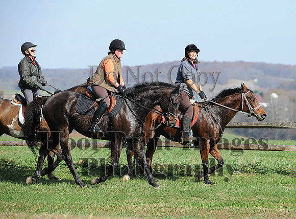 AndrewsBr(11-9-14)0183