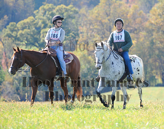 Cheshire(10-20-13)0533