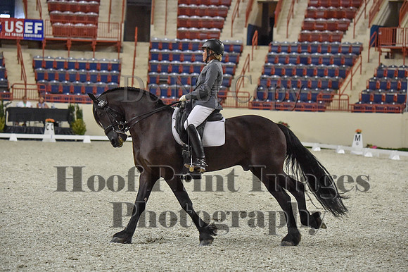 CWdressageI(8-20-16)0927