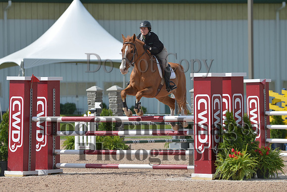 BRSa(5-17-14)HChAdJ0123