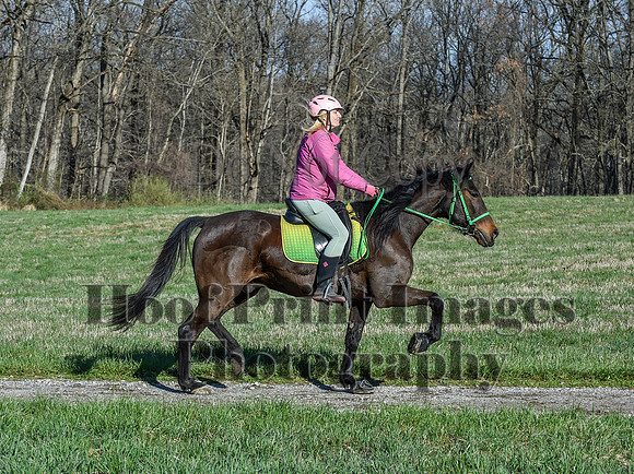 ChesapeakeSpring(4-10-22)0486