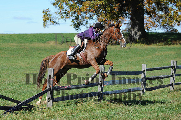 Cheshire(10-19-14)0032