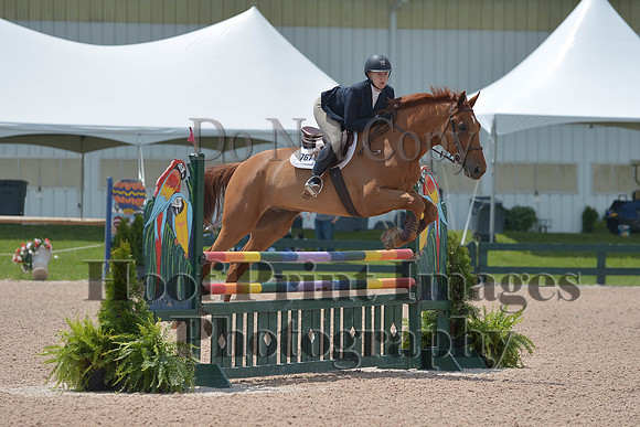 BRSa(5-17-14)HChAdJ0254