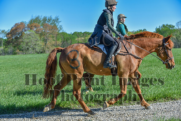 ChesapeakeSpring(4-27-25)0259