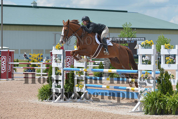 BRSa(5-17-14)HChAdJ0225