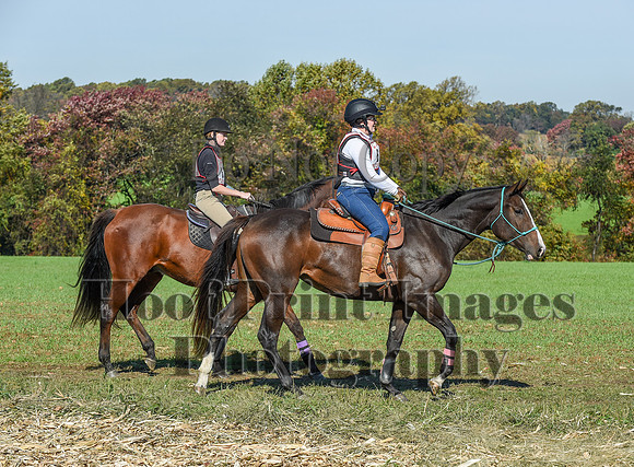 CheshirePC(10-18-20)0379