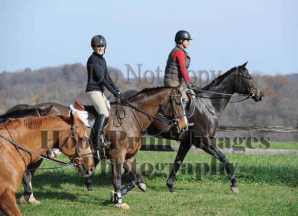 AndrewsBr(11-9-14)0247