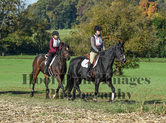 CheshirePC(10-18-20)0044