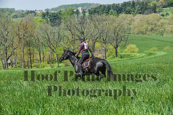 CheshireSpringPC1(4-28-24)0493