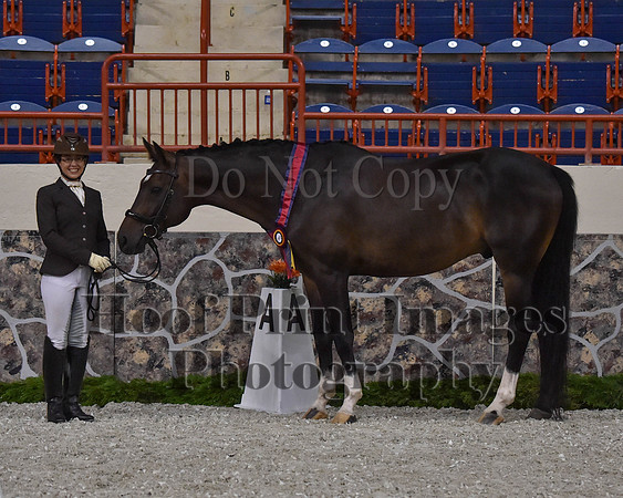 CWdressageII(8-21-16)1424