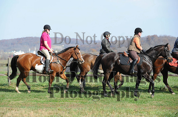 AndrewsBr(11-9-14)0187