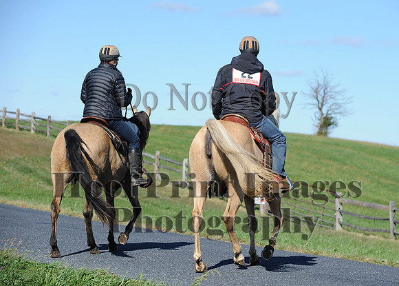 Cheshire(10-19-14)0235