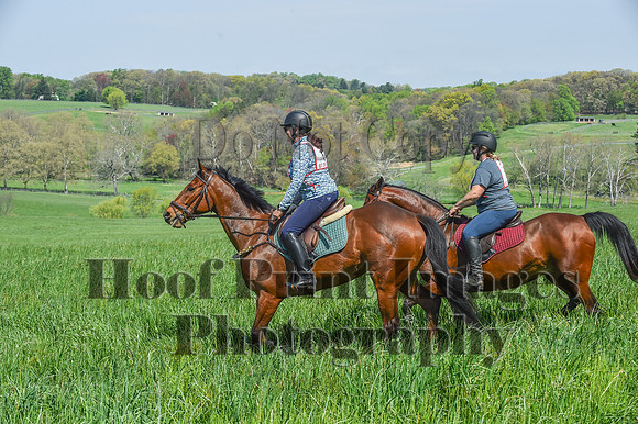 CheshireSpringPC1(4-28-24)0062