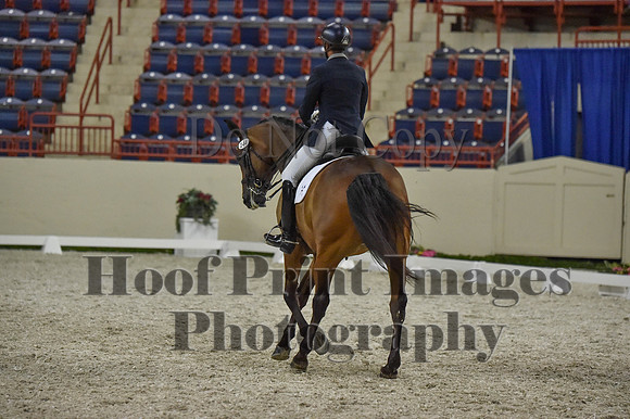 CWdressageI(8-20-16)1368