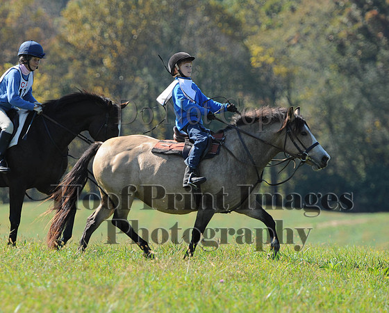 Cheshire(10-20-13)0179
