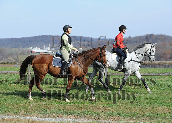 AndrewsBr(11-9-14)0274