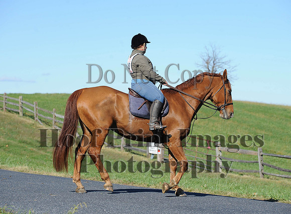 Cheshire(10-19-14)0316