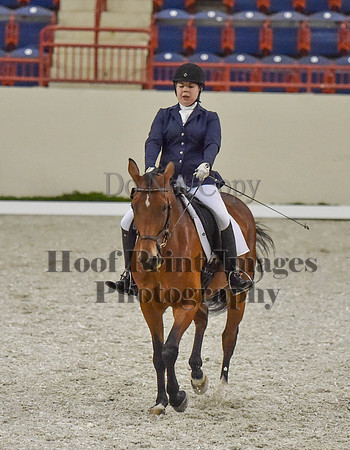 CWdressageI(8-20-16)0392