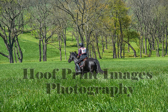 CheshireSpringPC1(4-28-24)0496