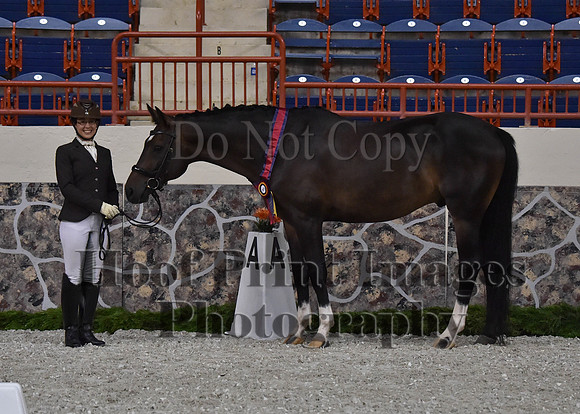 CWdressageII(8-21-16)1425