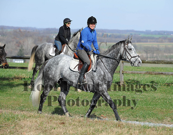 AndrewsBr(11-9-14)0280