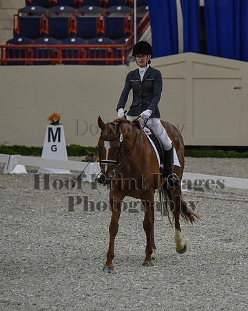 CWdressageII(8-21-16)0095