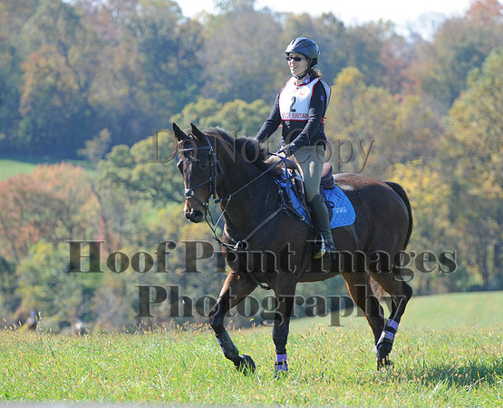 Cheshire(10-20-13)0046