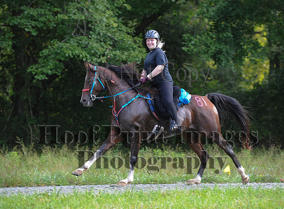 ChesapeakeCTR(9-20-14)0158