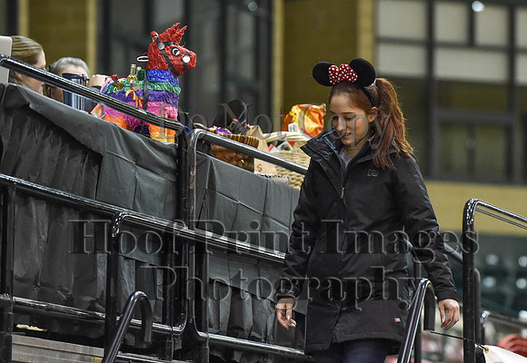 MidAtEqFest(11-14-15)1374